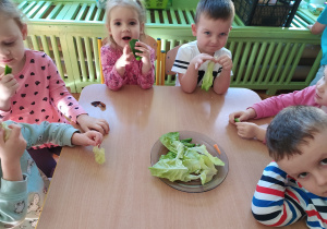 Dzieci smakują warzywa w kolorze zielonym.