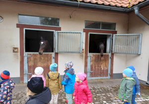 Podziwianie koni Straży Miejskiej.