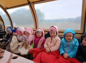 Misie lubią miodek, więc do ula.