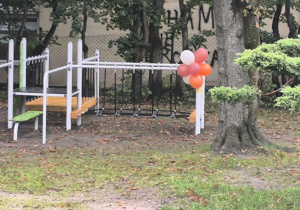 Tor przeszkód w ogrodzie zakupiony na potrzeby projektu.