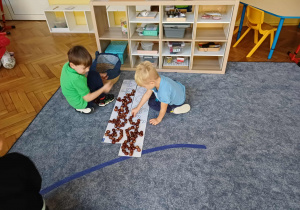 Dwóch chłopców układających wzór po śladzie kasztanami - ścigając się przy tym.