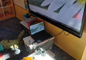 Obraz stokrotki znalezionej w ogrodzie w bardzo dużym powiększeniu - obraz orginalny.