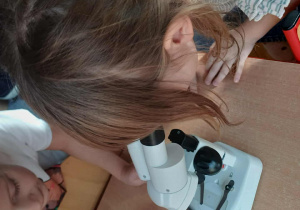 Dziewczynki patrzące przez mikroskop dający powiększenie 20 razy.