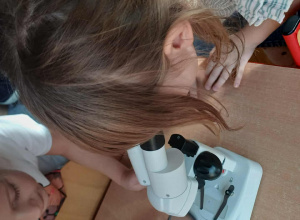 Mikroskopijna Jesień