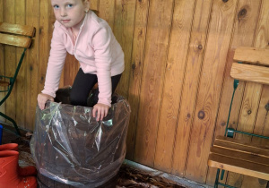 Dziewczynka depcze kapustę w drewniane beczce.