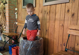 Chłopiec depcze kapustę w drewniane beczce.
