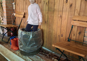 Dziewczynka depcze kapustę w drewniane beczce.