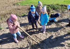 Dziewczynka trzyma w ręce motykę i dzieci zbierają ziemniaki.