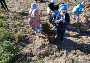 Dzieci zbierają do koszy wykopane ziemniaki.