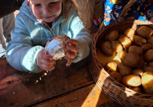 Dziewczynka trzyma w ręce zawinięty we folię aluminiową ziemniak.