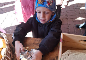 Chłopiec zawija we folię aluminiową ziemniaka.