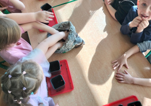 dzieci nabierają ziemię do doniczek