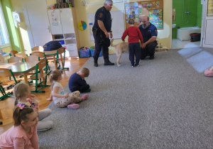 chłopiec w odpowiedni sposób głaszcze psa