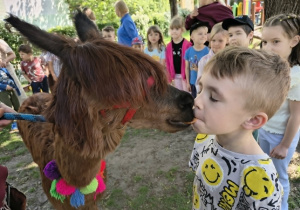 Zwierzę zjada marchewkowy talarek z ust chłopca.