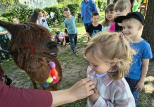 Dzieci czekające na swoją kolej do karmienia zwierzęcia.