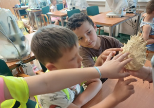 Dwóch chłopców dotykających eksponatu ryby rozdymki.